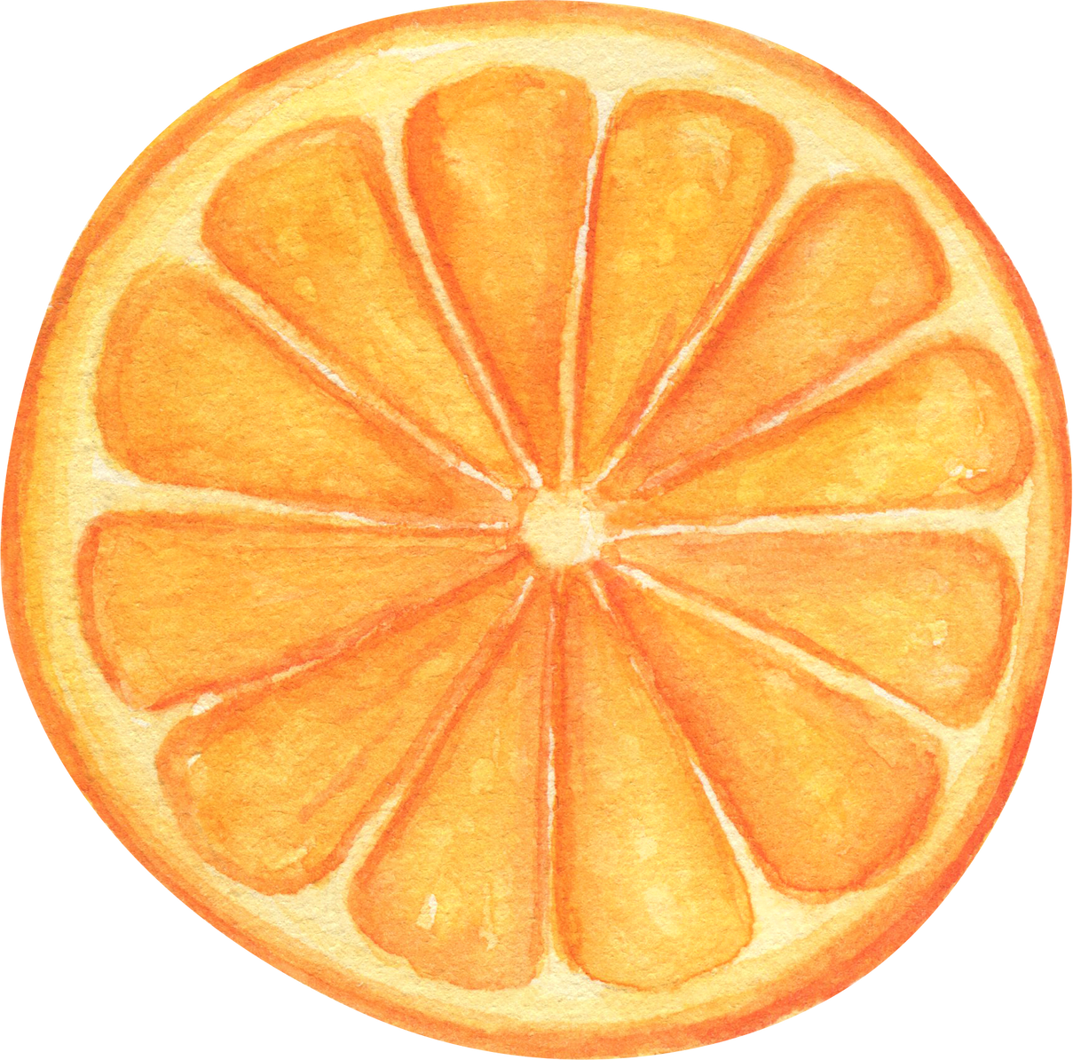 Orange slice watercolor illustration